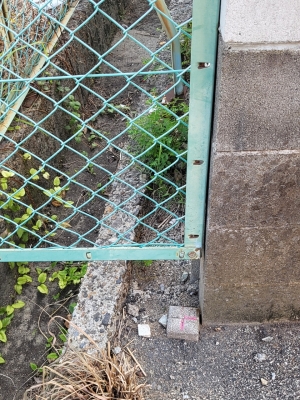 境界標にはさまざまな形態がある