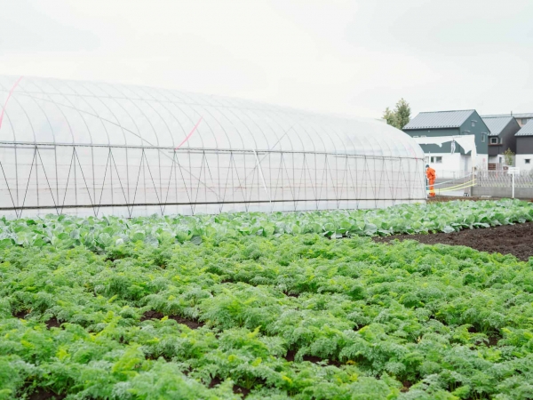 農園を地域に開く構想もあり、近隣の人との交流が進みそうだ