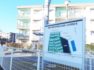 緑ヶ丘団地。当初は賃貸住宅14棟464戸があったが現在は8棟272戸。比較的コンパクトな団地だ（筆者撮影)