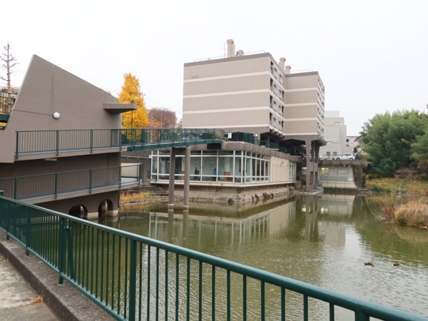 2024年自治会と一緒に大掃除する学生たち（写真提供/神奈川県住宅供給公社）