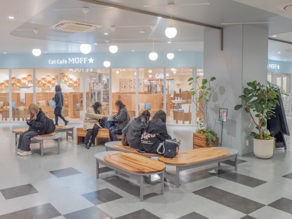 7階ウッドデッキ広場と雁木をイメージした大階段