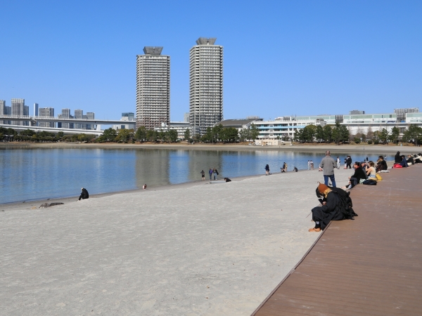 奥に見える高層マンションが、お台場海浜公園駅近くに建つ「ザ・タワーズ台場」