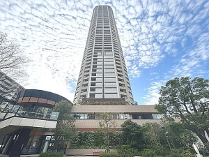 武蔵小杉に建つタワーマンション。武蔵小杉駅周辺にあった工場の移転や撤退が相次ぎ、その広大な跡地がタワーマンション建設に利用された