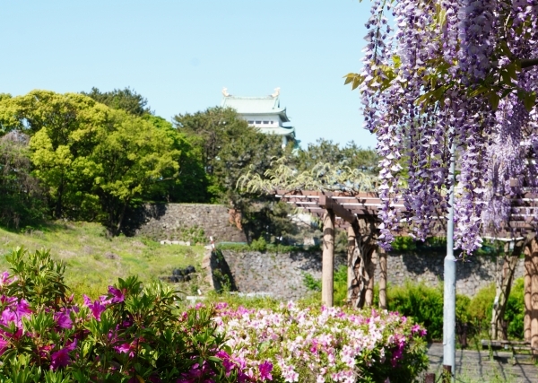 ▲名城公園の広さは約80ヘクタール。園内には名古屋城の二の丸・三の丸、フラワープラザなどがあり市民の憩いの場となっている。国際大会や海外アーティストのライブにも対応できる「IGアリーナ」の誕生により、スタジアム・アリーナ改革（スポーツ施設を軸に地域活性化を行う取り組み）が進められている注目の都心エリアだ