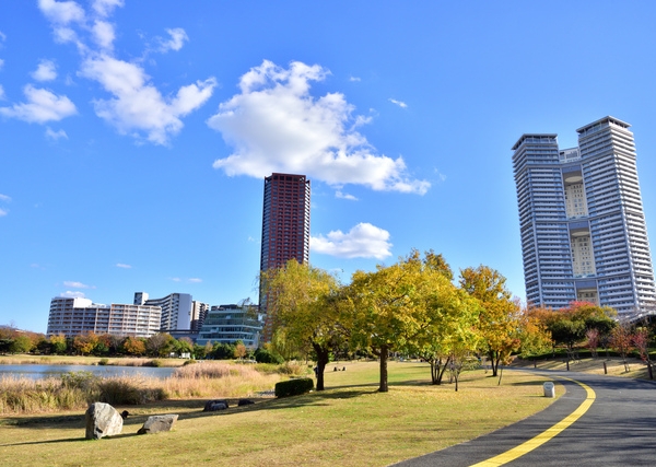 アイランドシティ中央公園とタワーマンション